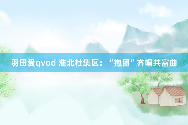 羽田爱qvod 淮北杜集区：“抱团”齐唱共富曲