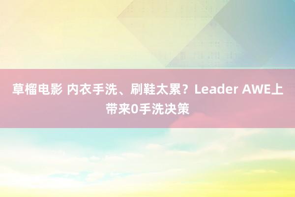 草榴电影 内衣手洗、刷鞋太累？Leader AWE上带来0手洗决策