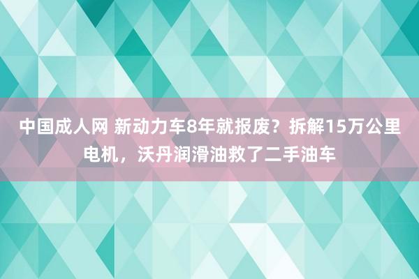 中国成人网 新动力车8年就报废？拆解15万公里电机，沃丹润滑油救了二手油车