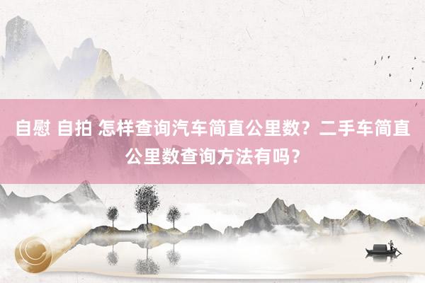 自慰 自拍 怎样查询汽车简直公里数？二手车简直公里数查询方法有吗？