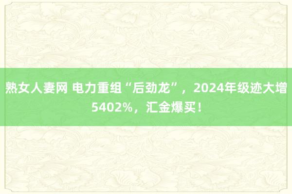 熟女人妻网 电力重组“后劲龙”，2024年级迹大增5402%，汇金爆买！
