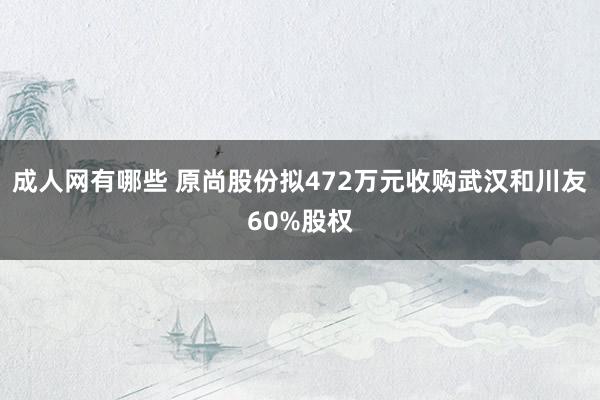 成人网有哪些 原尚股份拟472万元收购武汉和川友60%股权