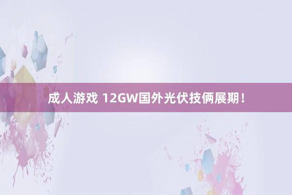 成人游戏 12GW国外光伏技俩展期！