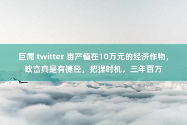 巨屌 twitter 亩产值在10万元的经济作物，致富真是有捷径，把捏时机，三年百万