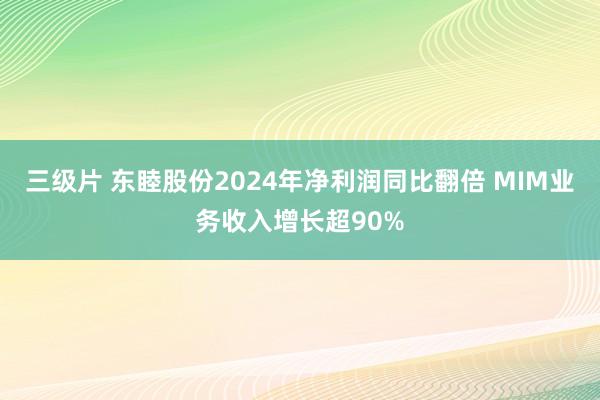 三级片 东睦股份2024年净利润同比翻倍 MIM业务收入增长超90%