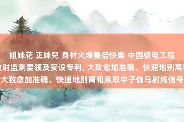 姐妹花 正妹兒 身材火爆雙倍快樂 中国核电工程苦求一种混杂放射场的放射监测要领及安设专利, 大致愈加准确、快速地别离和索取中子伽马射线信号