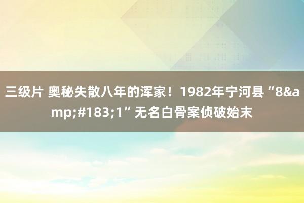三级片 奥秘失散八年的浑家！1982年宁河县“8&#183;1”无名白骨案侦破始末
