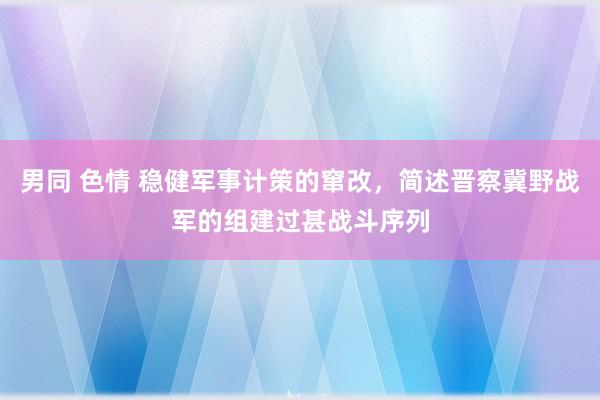 男同 色情 稳健军事计策的窜改，简述晋察冀野战军的组建过甚战斗序列