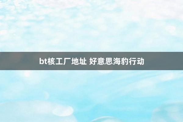 bt核工厂地址 好意思海豹行动