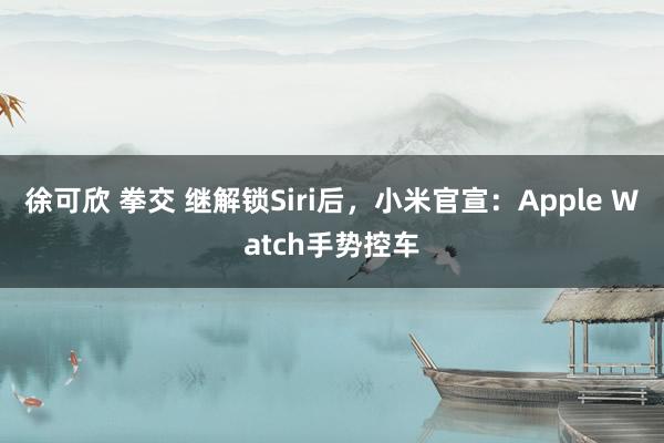 徐可欣 拳交 继解锁Siri后，小米官宣：Apple Watch手势控车