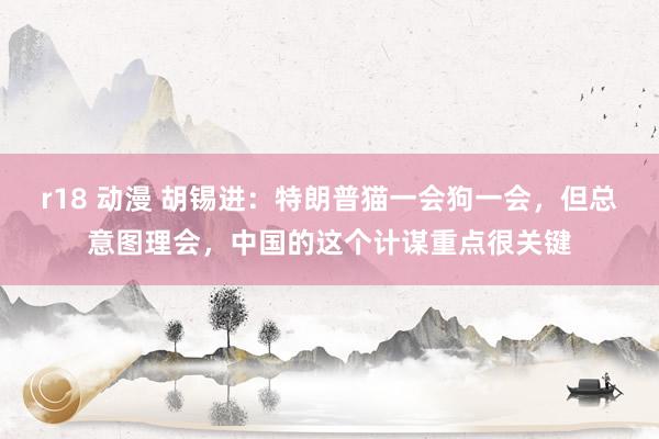 r18 动漫 胡锡进：特朗普猫一会狗一会，但总意图理会，中国的这个计谋重点很关键